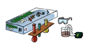 educational toy